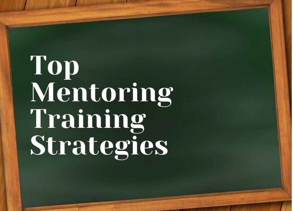 Mentoring Training Strategies